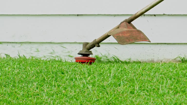 Tree and Shrub Care in Upper Brookville, NY